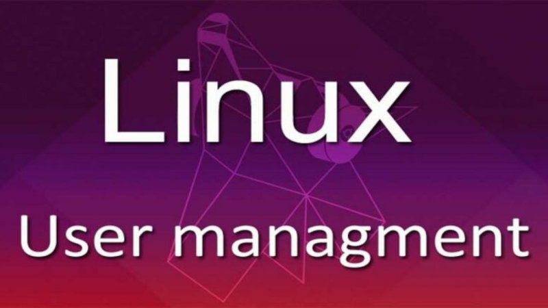 Как управлять пользователями в Linux