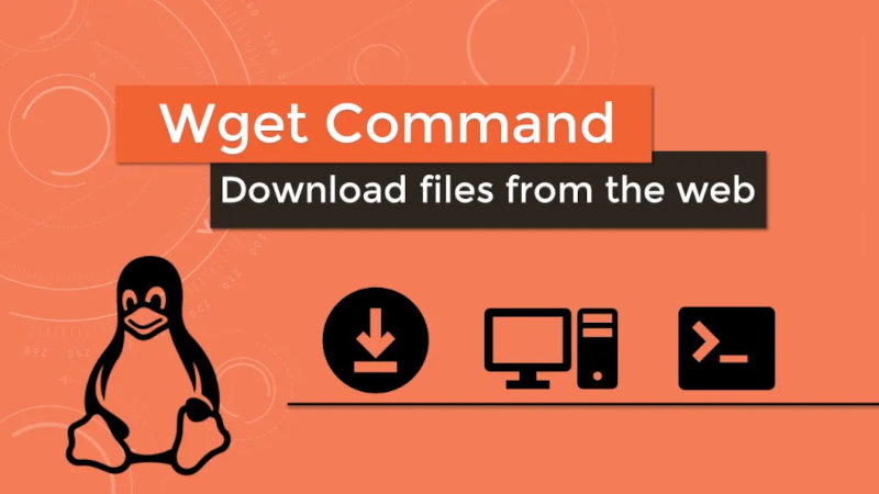 Скачивание сайтов с помощью Wget Linux