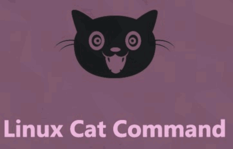 Команда cat Linux
