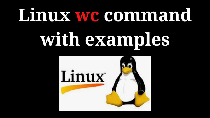 Команда wc Linux