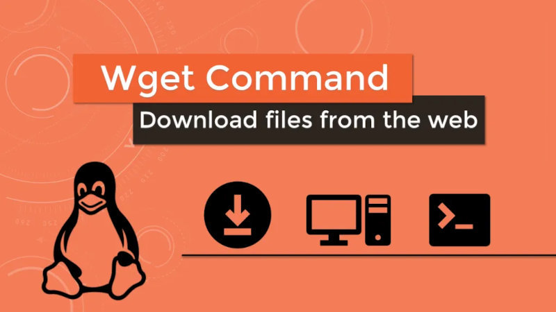 Команда wget в linux
