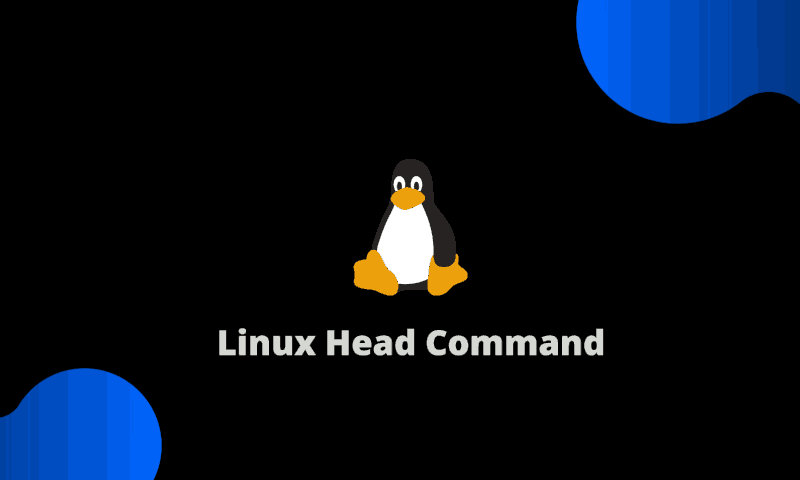 Использование команды Linux head с примерами