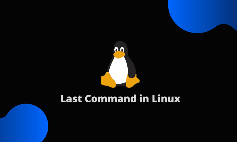 Использование команды Linux last с примерами