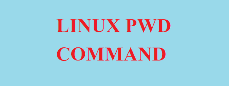 Использование команды Linux pwd с примерами