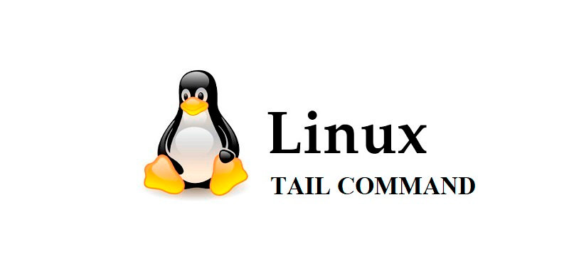 Команда tail в linux