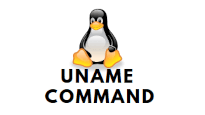 Использование команды Linux uname с примерами