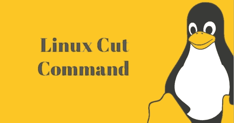 Использование команды cut в Linux