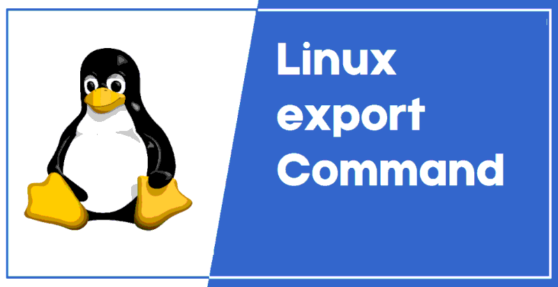 Использование команды export в Linux с примерами
