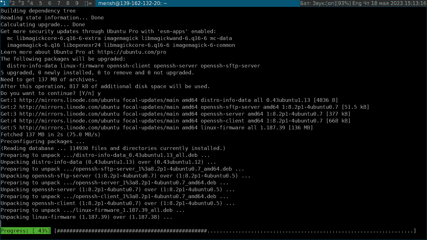 Обновление программных пакетов командой apt upgrade