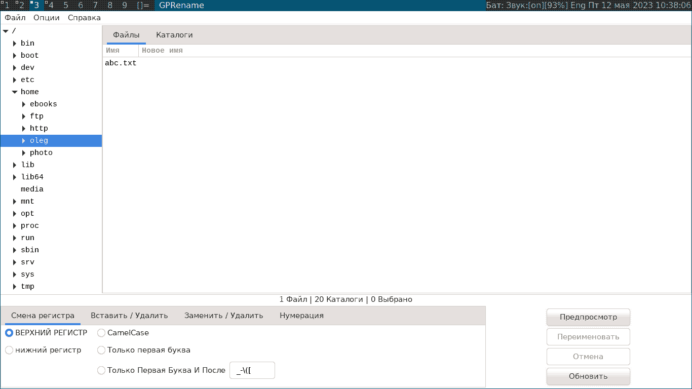 Групповое переименование файлов программой GPRename, вид после запуска