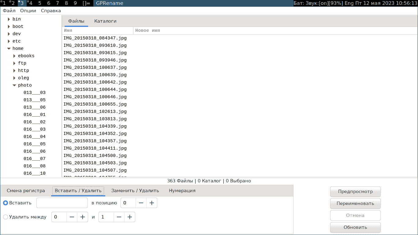 Групповое переименование файлов программой GPRename, вставка/удаление символов