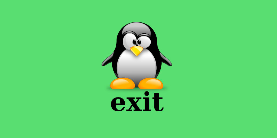 Примеры использования команды exit в Linux