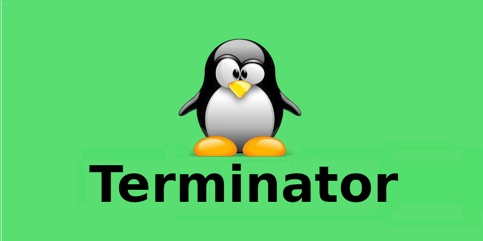 Работа с эмулятором терминала Linux Terminator