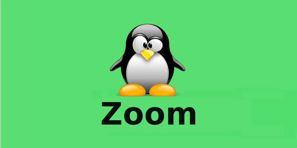Способы установки приложения Zoom в Linux
