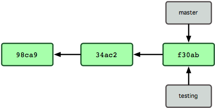 Несколько веток, указывающих на историю коммитов