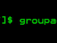 Команда groupadd в Linux