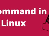 Команда ls в Linux