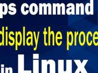 Просмотр процессов Linux командой ps с примерами