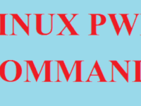 Использование команды Linux pwd с примерами
