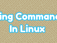 Примеры использования команды ping в Linux