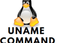 Использование команды Linux uname с примерами
