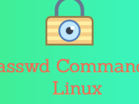 Примеры использования команды passwd в Linux