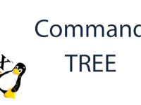 Примеры использования команды tree в Linux