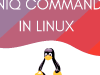 Использование команды uniq в Linux с примерами