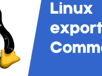 Использование команды export в Linux с примерами