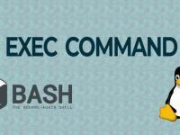 Примеры использования команды exec в Linux