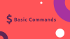 Основные команды Linux