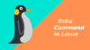Использование команды Linux echo