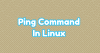 Примеры использования команды ping в Linux