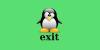 Примеры использования команды exit в Linux