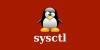 Использование в Linux команды sysctl с примерами
