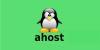 Команда Linux ahost и примеры её использования