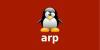 Команда Linux arp и примеры её использования