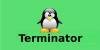 Работа с эмулятором терминала Linux Terminator