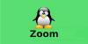 Способы установки приложения Zoom в Linux