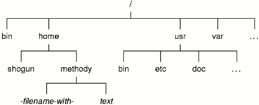 Как создать дерево каталогов в linux debian